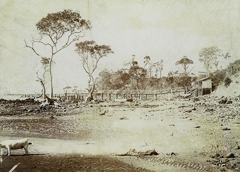 File:StateLibQld 1 257656 Sandgate beach in 1900.jpg