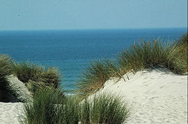 Strand bij Stella vanuit de duinen