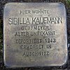 Stumbling block for Sibylla Kaufmann geb.  Meyer