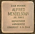Stolperstein für Alfred Mendelsohn (Guben).jpg