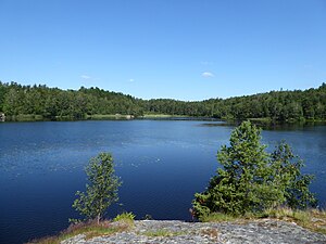 Stora Mölnesjön från söder i juni 2024.