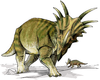 An artist's impression of Styracosaurus
