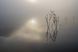 Sunrise in ranu kumbolo.jpg