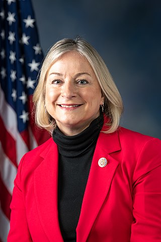 <span class="mw-page-title-main">Susan Wild</span> American politician and attorney
