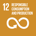 Sustainable Development Goal 12.png