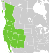 Symphyotrichum frondosum distribution map