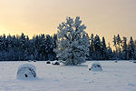 Thumbnail for Aruküla, Lüganuse Parish