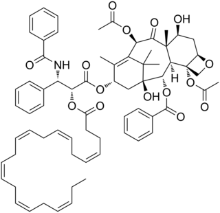 DHA-paclitaxel Investigational drug