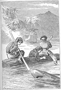 Illustration från 1884 års engelska upplaga