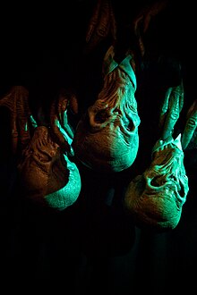 Silence creatures as they appear at the Doctor Who Experience The Silences (6502020045).jpg