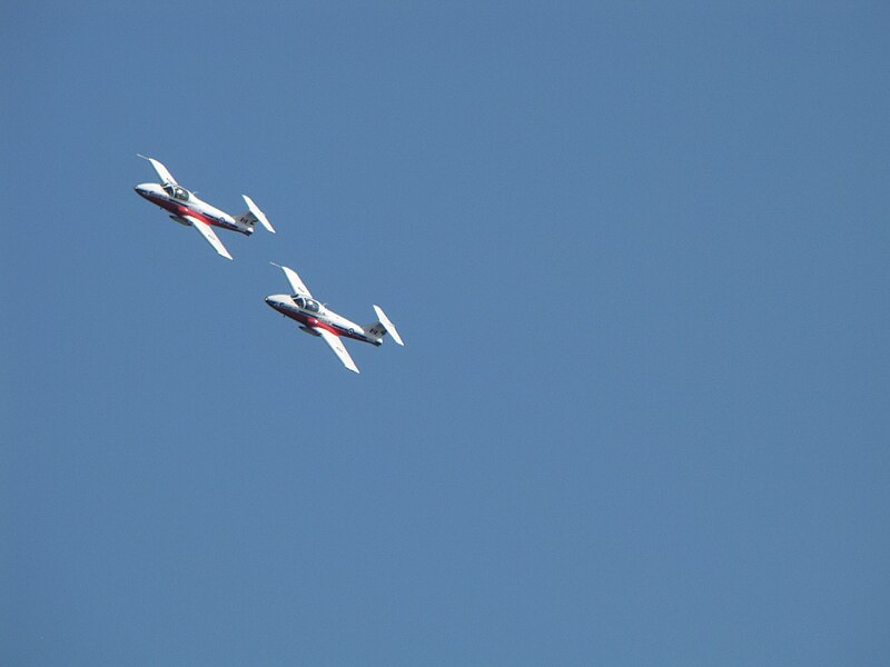 File:The Snowbirds (3890919905).jpg