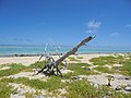 Thumbnail for File:The Thirteen Islands of St Brandon - Images of Île Raphael, Cargados Carajos in Mauritius 12.jpg