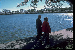 The Tidal Basin TIBA4857.jpg