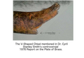 File:The V-Shaped Chisel feature of The Rod referred to in Dr. Cyril Stanley Smith's, controversial 1974 Report to The Bancroft Library of UC Berkeley.png