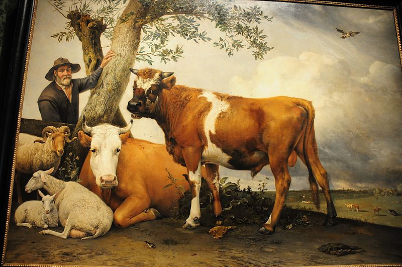 File:The famous 17th century painting, "the Bull" from Paulus Potter in the Mauritshuis museum Den Haag - panoramio.jpg