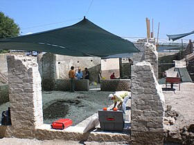 New archaeological excavations in Villa San Marco of Stabiae (June 2008)