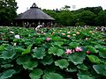 2010年8月4日 (水) 03:23時点における版のサムネイル