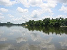 Tiwai Pulau River.jpg