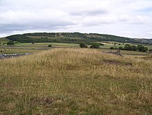 Tumulus in der Nähe von Monsal Head (geograph 1960926) .jpg