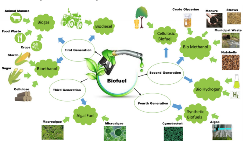 File:Types and generation of biofuels.png