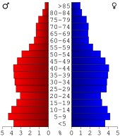 Bevolkingspiramide Wayne County