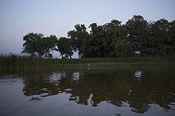Озеро Устери, Пондичерри, Индия (21013490160) .jpg