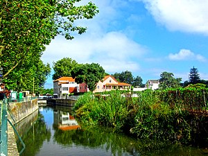 Río Colares