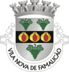 Wappen von Vila Nova de Famalicão