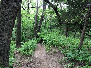 <span class="mw-page-title-main">Waubonsie State Park</span> State park in Fremont County, Iowa