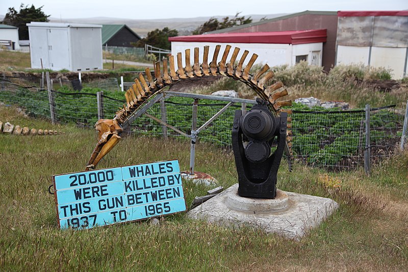 File:Whalebone Display in Stanley (5612255482).jpg