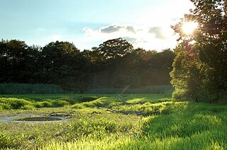 Wheatley Provincial Park