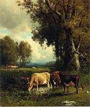 Cows in the Meadow, 1878