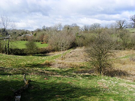 Windsor Hill Marsh