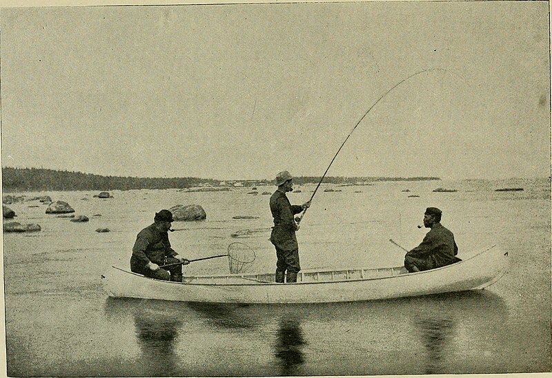 File:With fly-rod and camera (1890) (14759918366).jpg