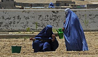 Two women wearing burqas involved in agriculture at the Qalat Department of Women's Affairs, which is located in the Zabul province of Afghanistan. Women in Qalat.jpg