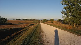 Yellow Springs Township (Des Moines megye, Iowa)