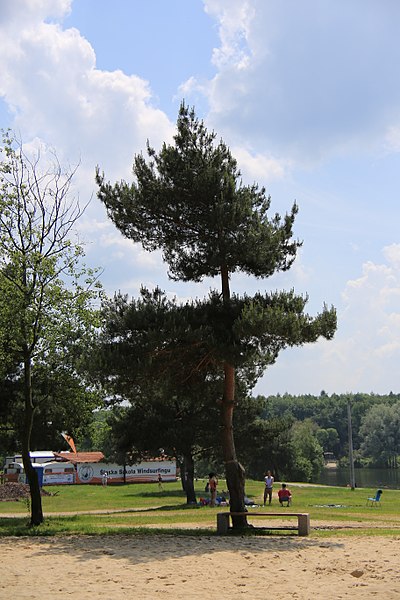 File:Zalew w Pławniowicach - panoramio (23).jpg