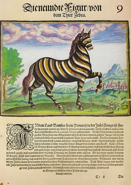 File:Zebra - Regnum Congo.jpg