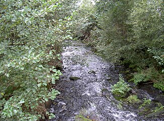 Zottbach near Neuenhammer