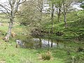 wikimedia_commons=File:(Another) pond in former mining area, Middle Hope - geograph.org.uk - 1392721.jpg