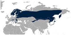 (Eurasian) Three-toed Woodpecker Picoides tridactylus distribution in Eurasia map.png