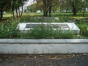 Братська могила радянських воїнів, с. Великі Кринки (1).JPG