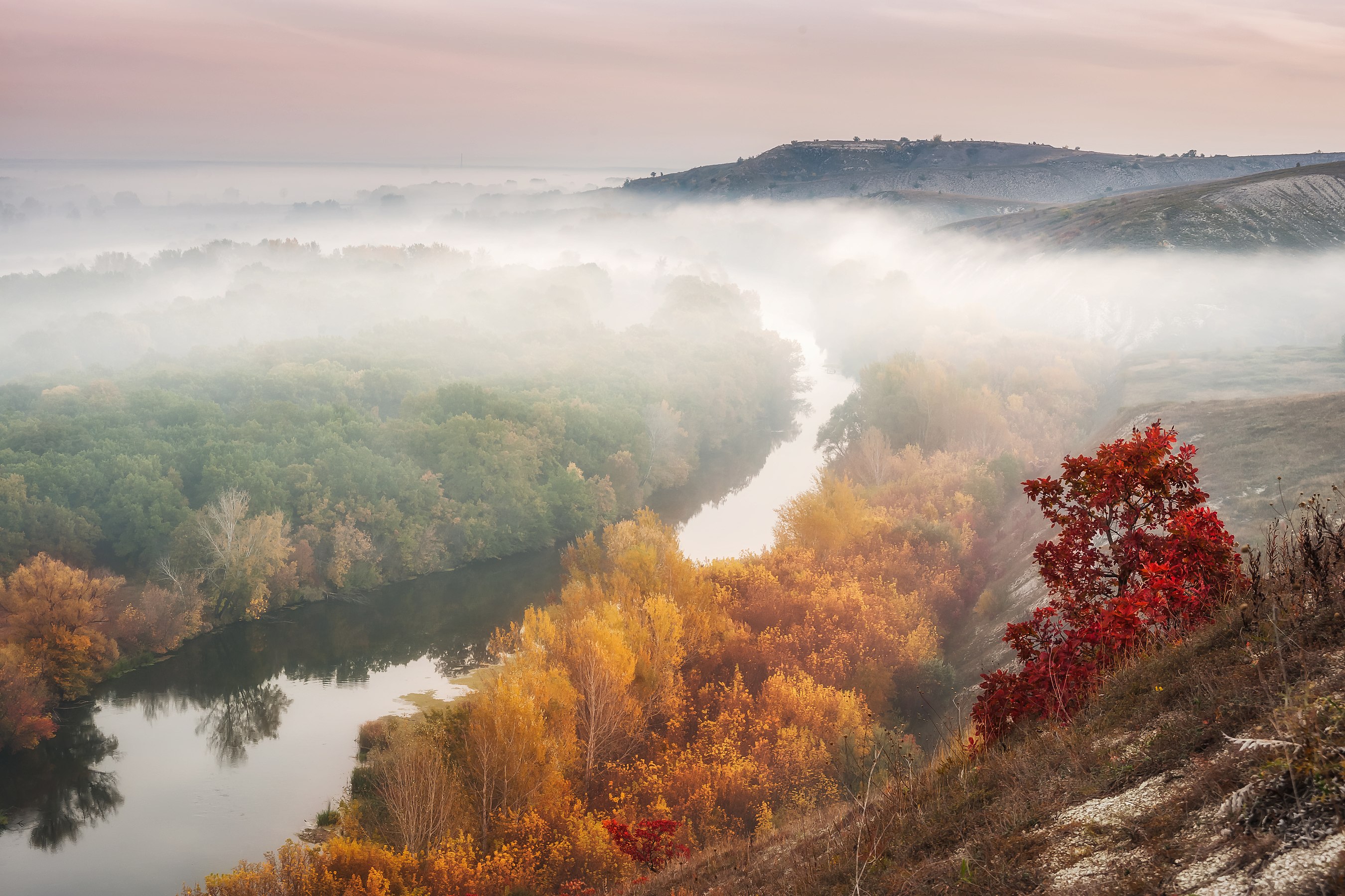 Chalkland Flora Nature Reserve, Donetsk Oblast (Balkhovitin)