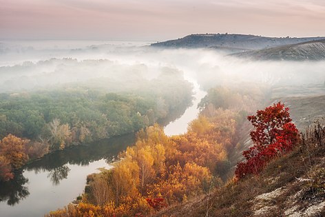 Chalkland Flora Nature Reserve, Donetsk Oblast (Balkhovitin)