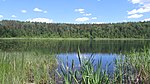 Озеро Круглое и партизанский лес (Мемориальный комплекс лесных насаждений на территории Партизанского заказника (озеро Круглое))