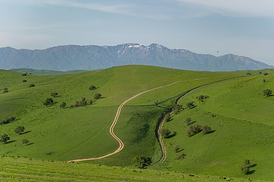 3. Ugam-Chatkal State Biosphere Reserve author - Arina Pan