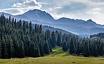 Kichi Ak-Suu Forest Sanctuary