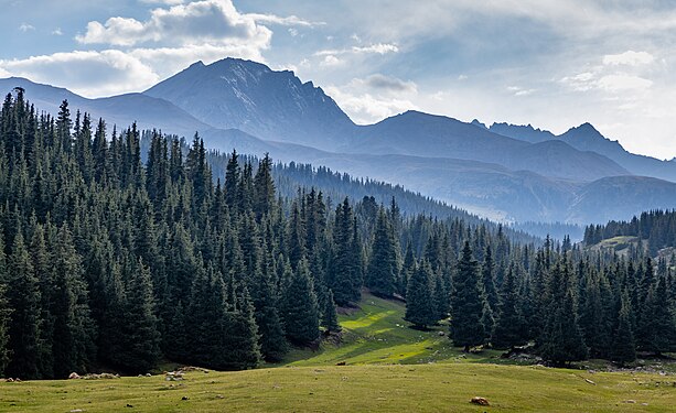 Kichi Ak-Suu Forest Sanctuary author - Marat Nadjibaev