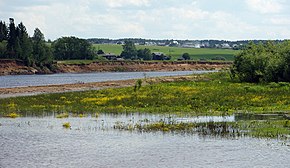 Shoshka - panoramio.jpg