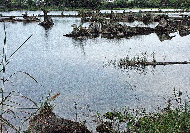 File:儲木池 Log Pond - panoramio (1).jpg